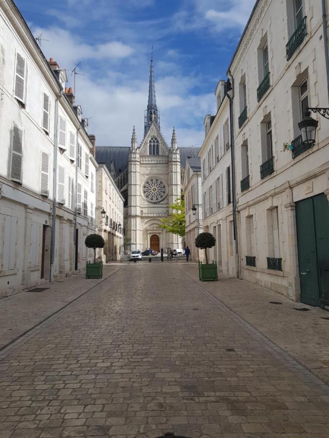 Appartement 2 Chambres Cosy Centre Ville Historique 奥尔良 外观 照片